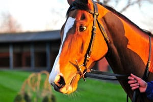 Break Out Your Favorite Derby Hat, Greenview at Chestnut Run: Winterthur’s Annual Point-to-Point Returns May 8!