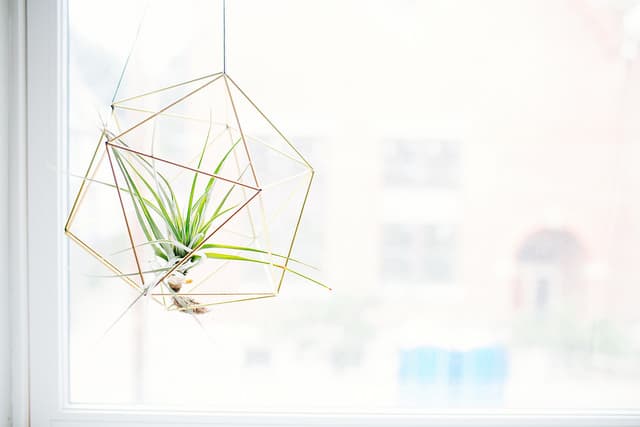 Don’t Have Renter’s Insurance? Here Are a Few Reasons to Buy It!