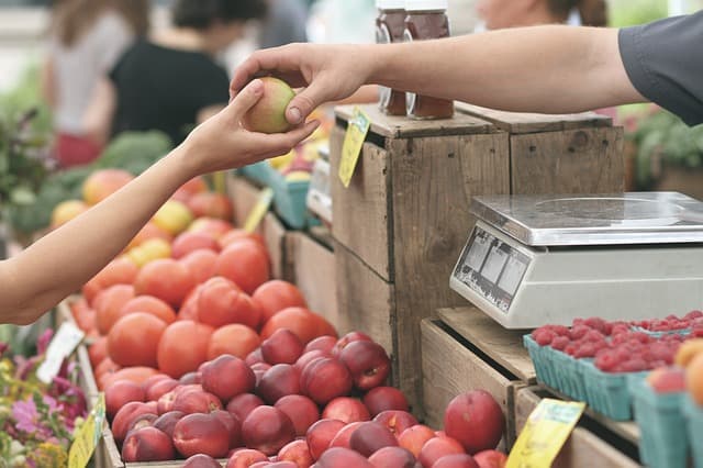 Calling All Locavores at Audubon Manor: See What’s in Season at the West Chester Growers Market