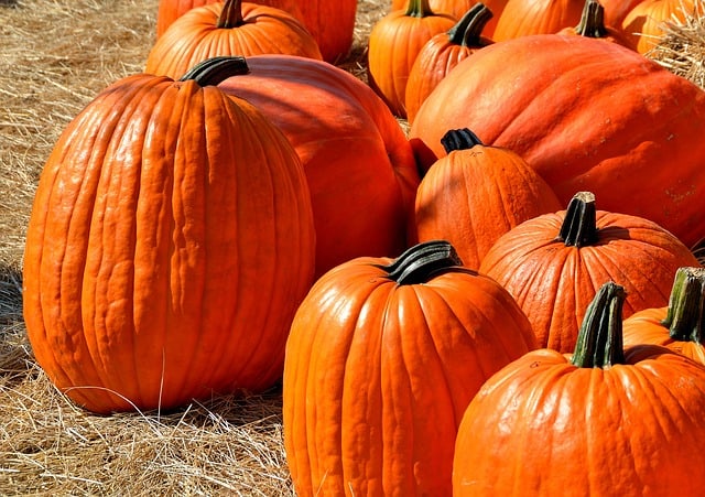 Get in the Autumn Spirit at the Wasson Market Fall Fest