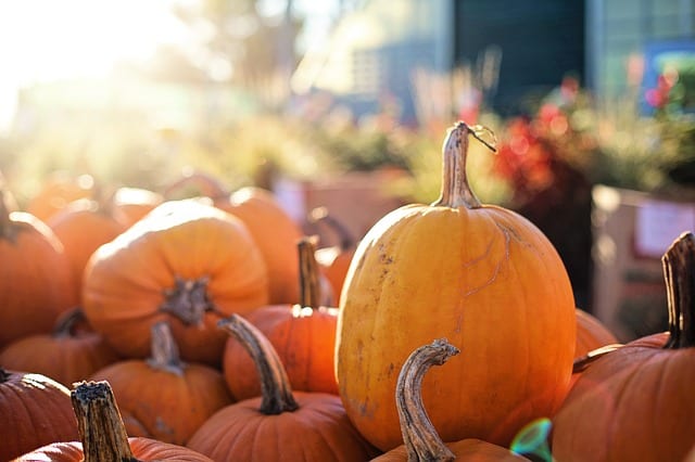 Expect Seasonal Agritainment at Froehlich Farm’s Fall Festival