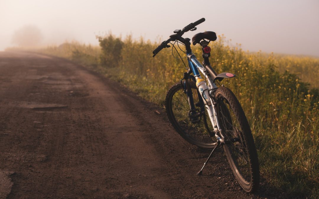 Treat Your Bike to a Spring Tune-Up at The Bike Shak