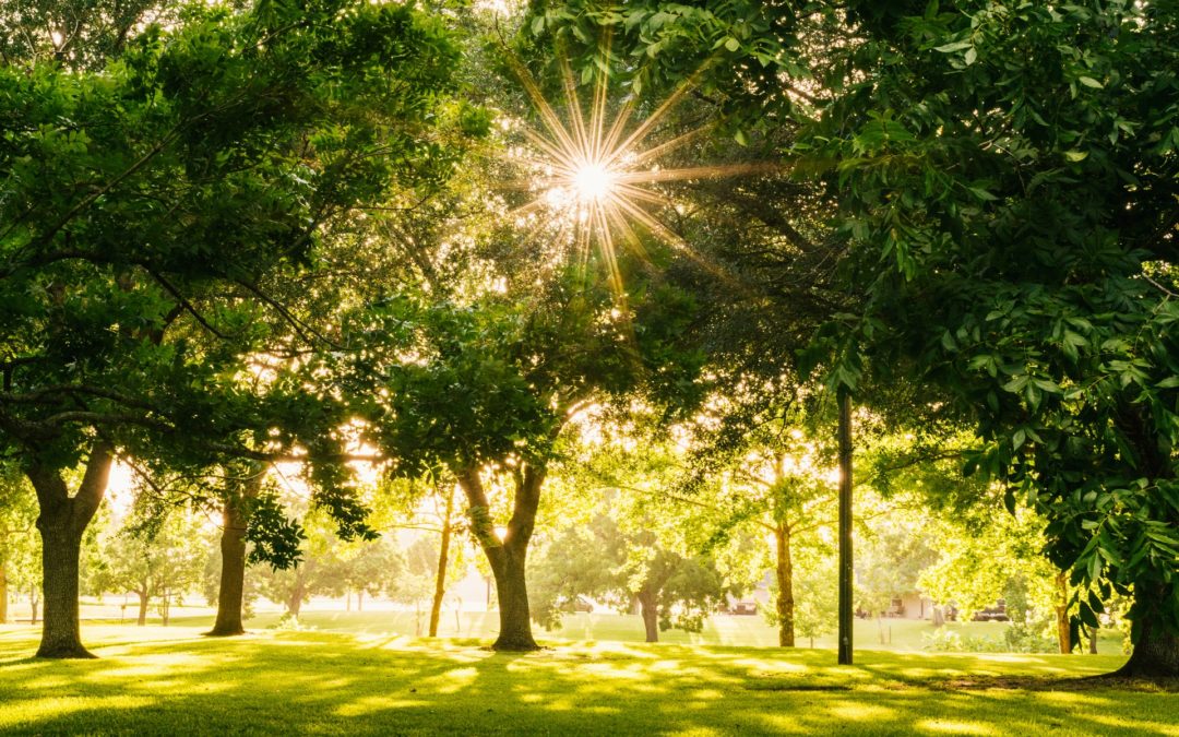 Reconnect With Nature at Neshaminy State Park