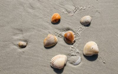 Chestnut Run Village- Outdoor Events in Wilmington, Delaware
