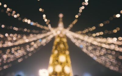 Experience the Magic of Lights in the Park 5K with Regency Towers