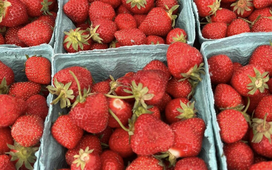 Fresh Finds at the West Chester Growers Market Near The Greentree Building