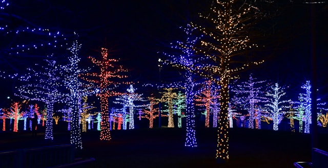 Experience the Magic of the Holiday Light Show Near Village Square Apartments