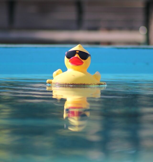 Cheer on 10,000 Ducks at the Steel City Duck Derby near Bear Run Village!